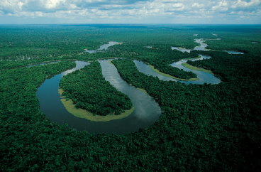 BLACK JAGUAR - Araguaia Biodiversity Corridor