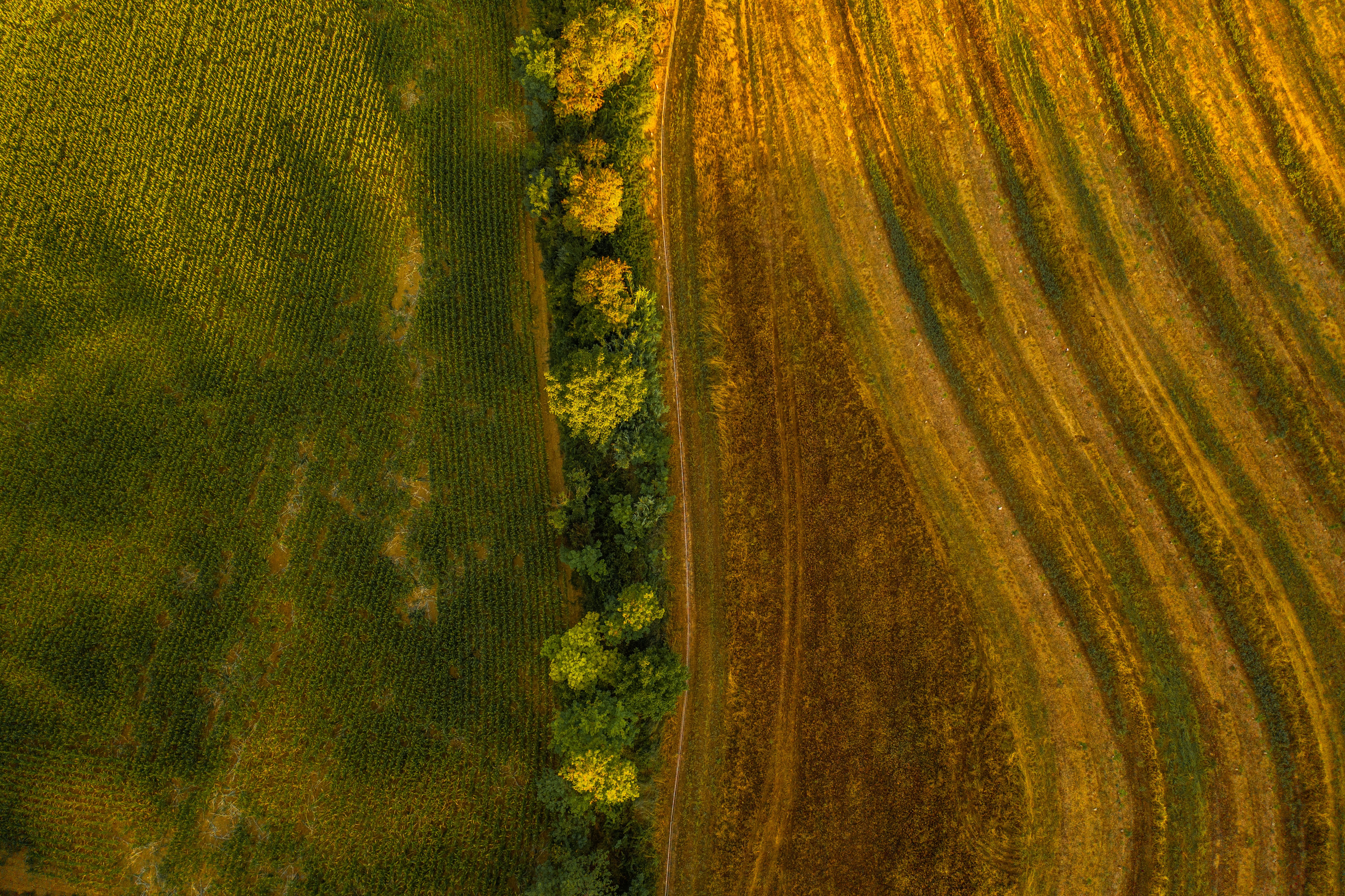 DJI_0667 DJI_0667