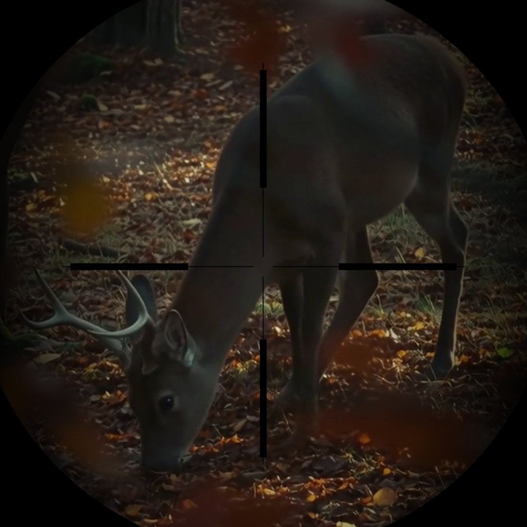 Niente giustifica la caccia_Atto2_editoriale-2