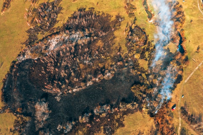 aerial-view-of-field-and-trees-after-fire-2026-03-24-12-39-33-utc