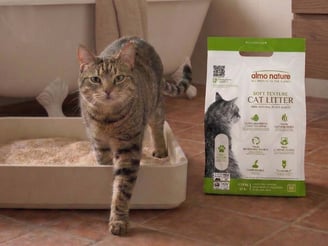 cat litter