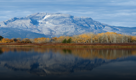 fc-active-projects-1