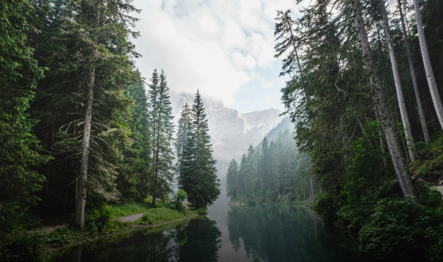 fc-active-projects-3