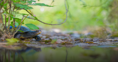 fc-active-projects-4