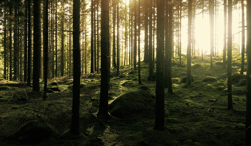 fc-climate-change-projects