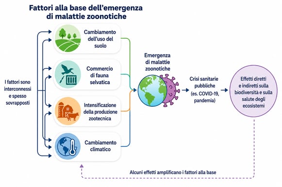lancet_IT