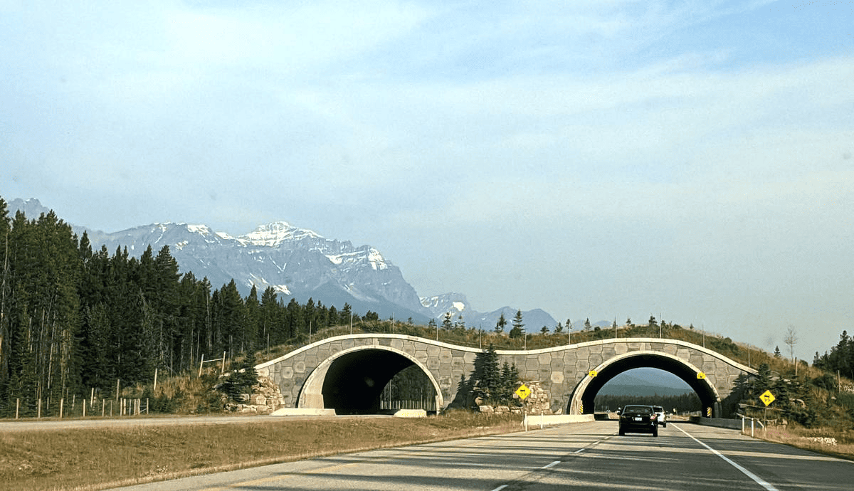 02_petizione-per-la-highway-1-nel-yoho-national-park-depositata-in-parlam