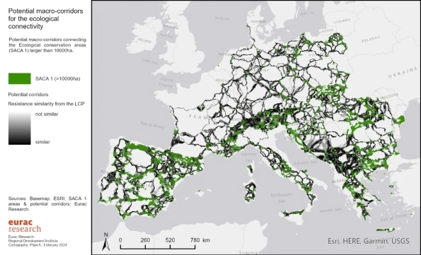 05_PotentialCorridors_cwd 1