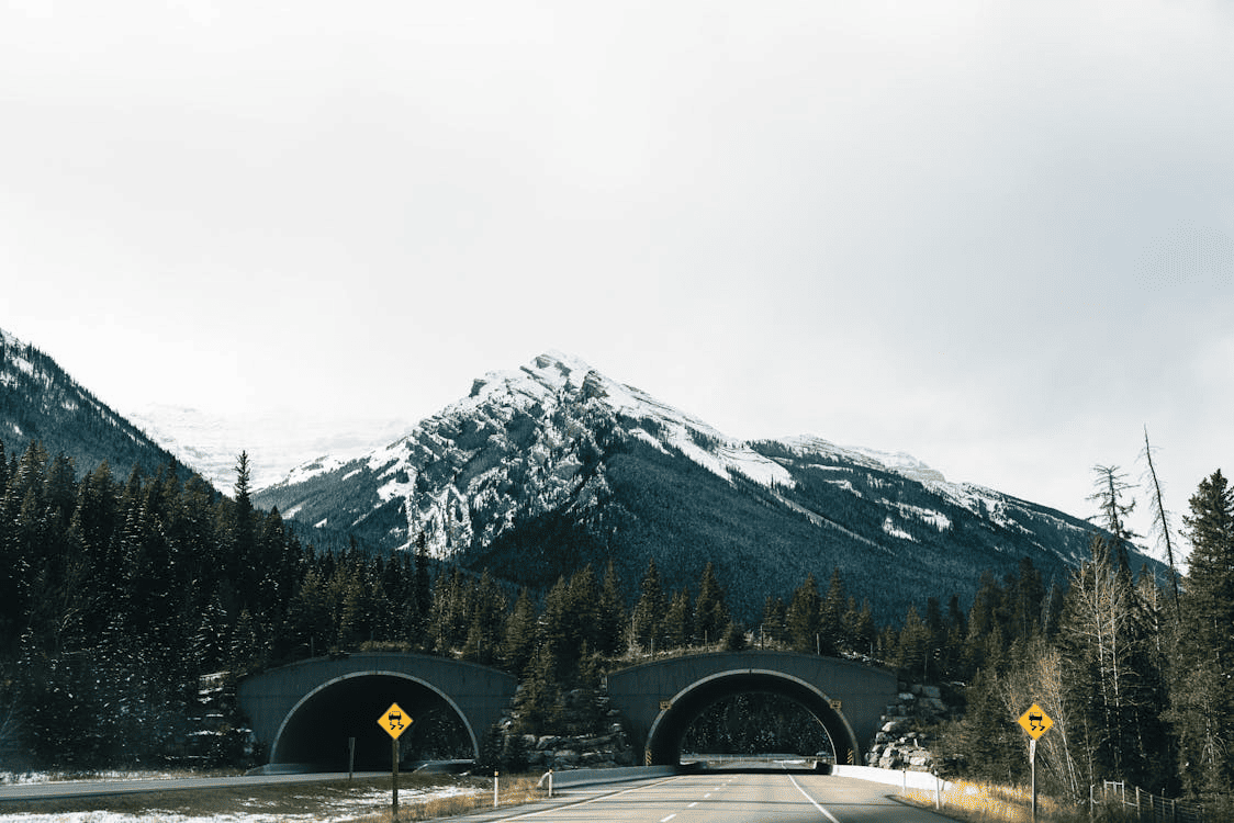 12_nuove-leggi-in-montana-per-finanziare-gli-ecodotti
