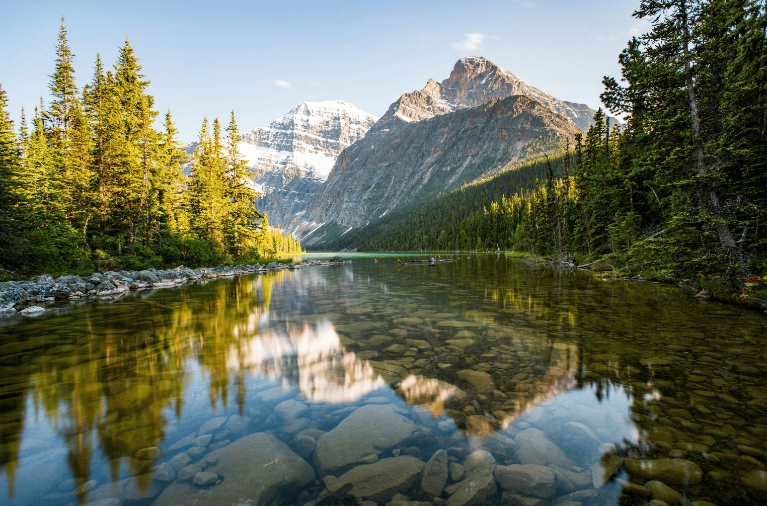 17_moratoria-sul-carbone-revocata-in-alberta-y2y-guida-la-risposta