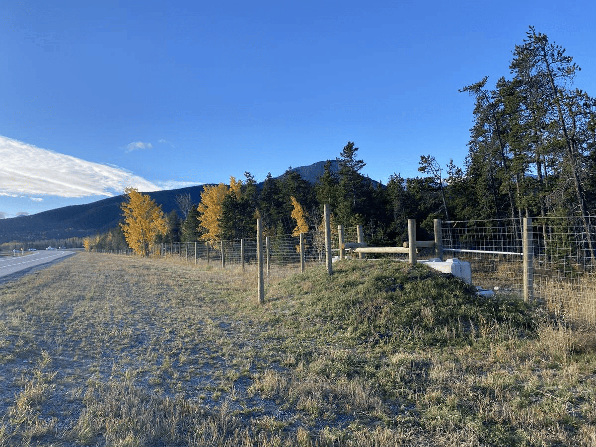 22_nuove-recinzioni-sull-interstate-90-in-idaho