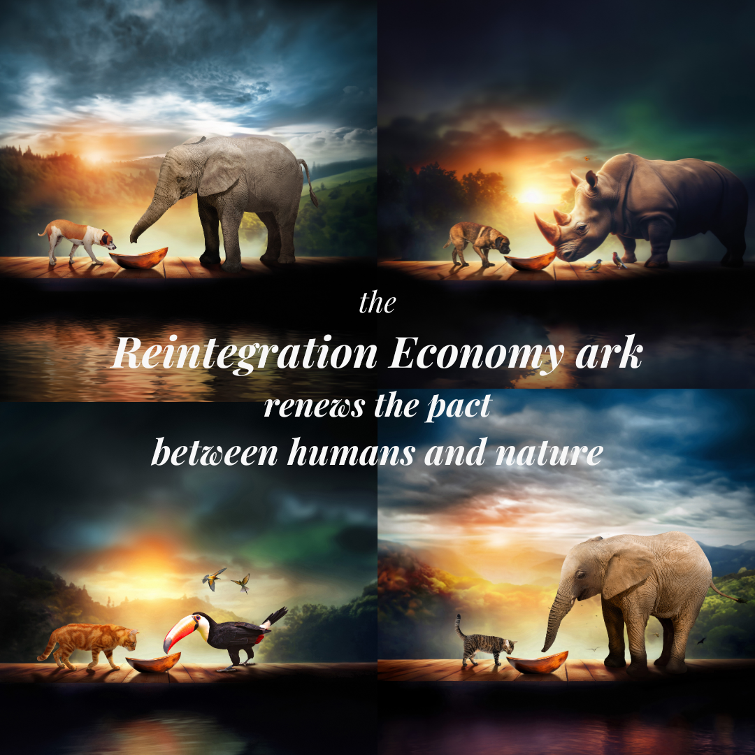 The ark of the Reintegration Economy