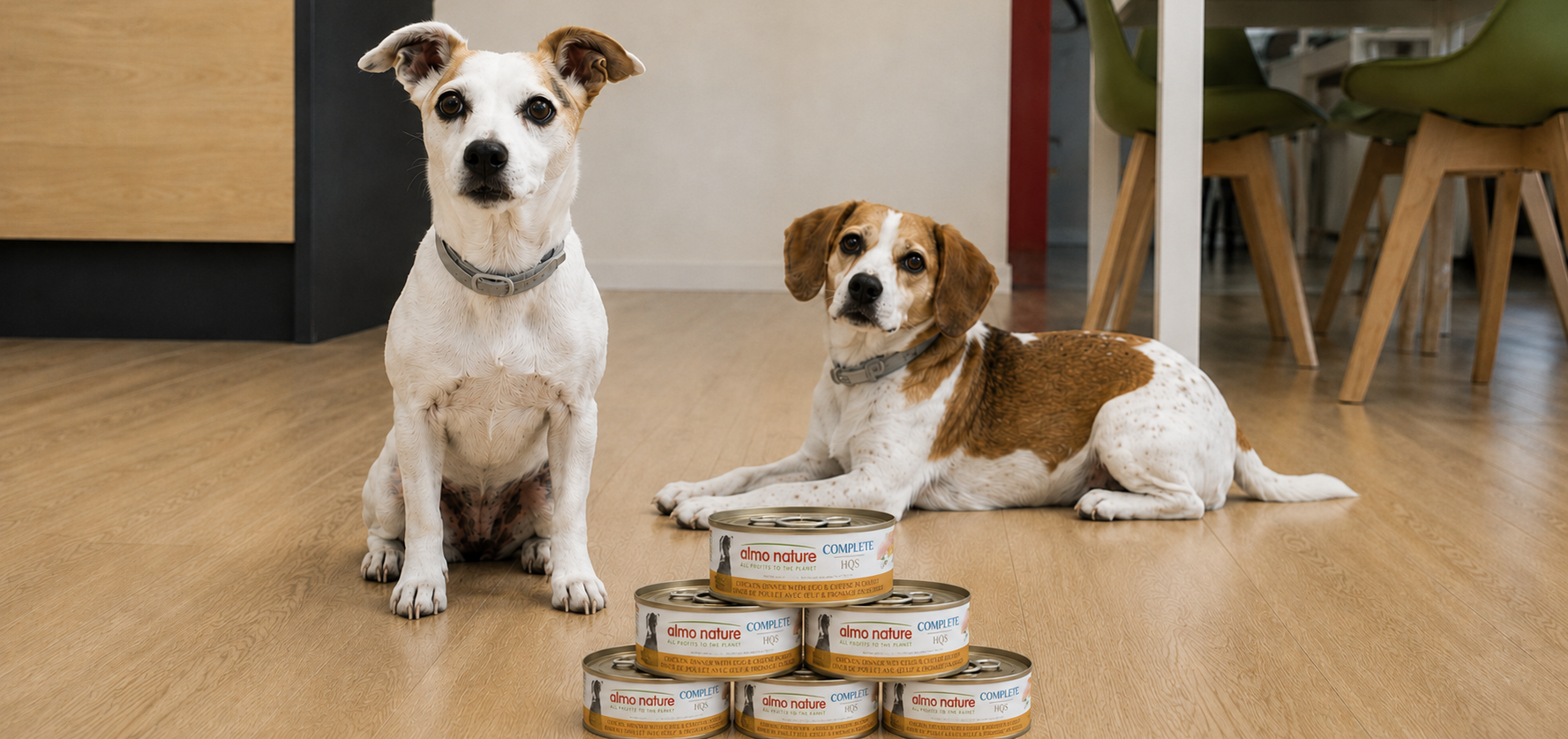 Why dogs should have wet food too