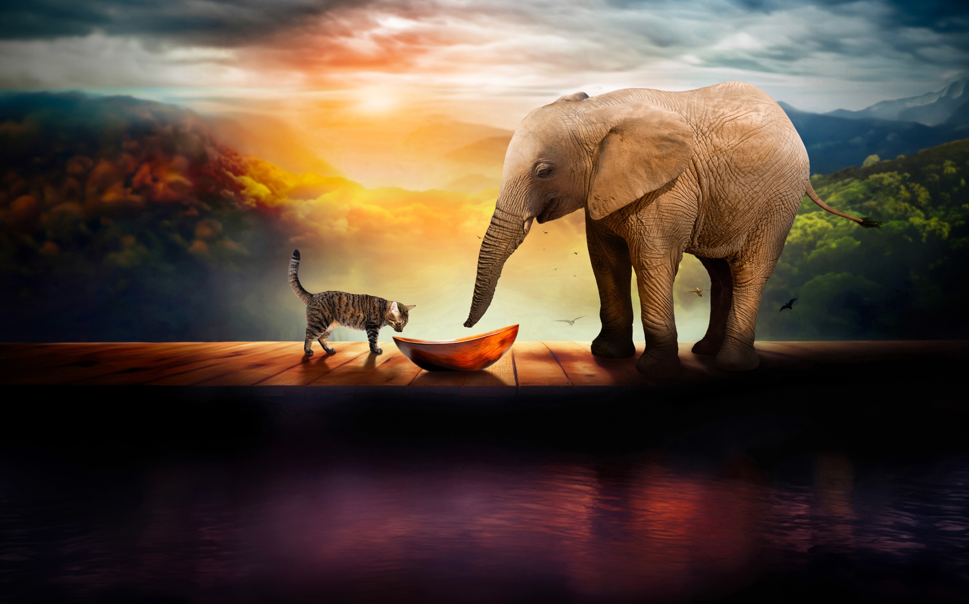 Copy-of-ALMO_Gatto_Elefante