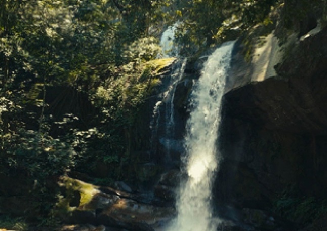 Elephant Corridor in Tanzania-project-date