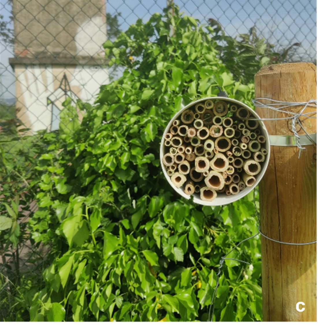 Estensione dei monitoraggi su biodiversità animale e qualità ambientale