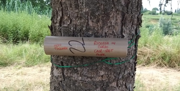 Firenze Climate Change-2