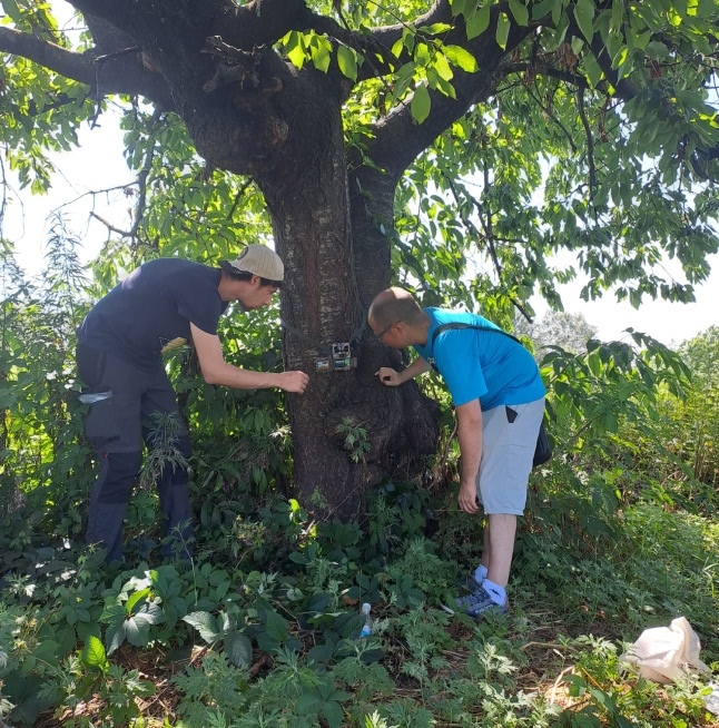 Firenze Climate Change-3