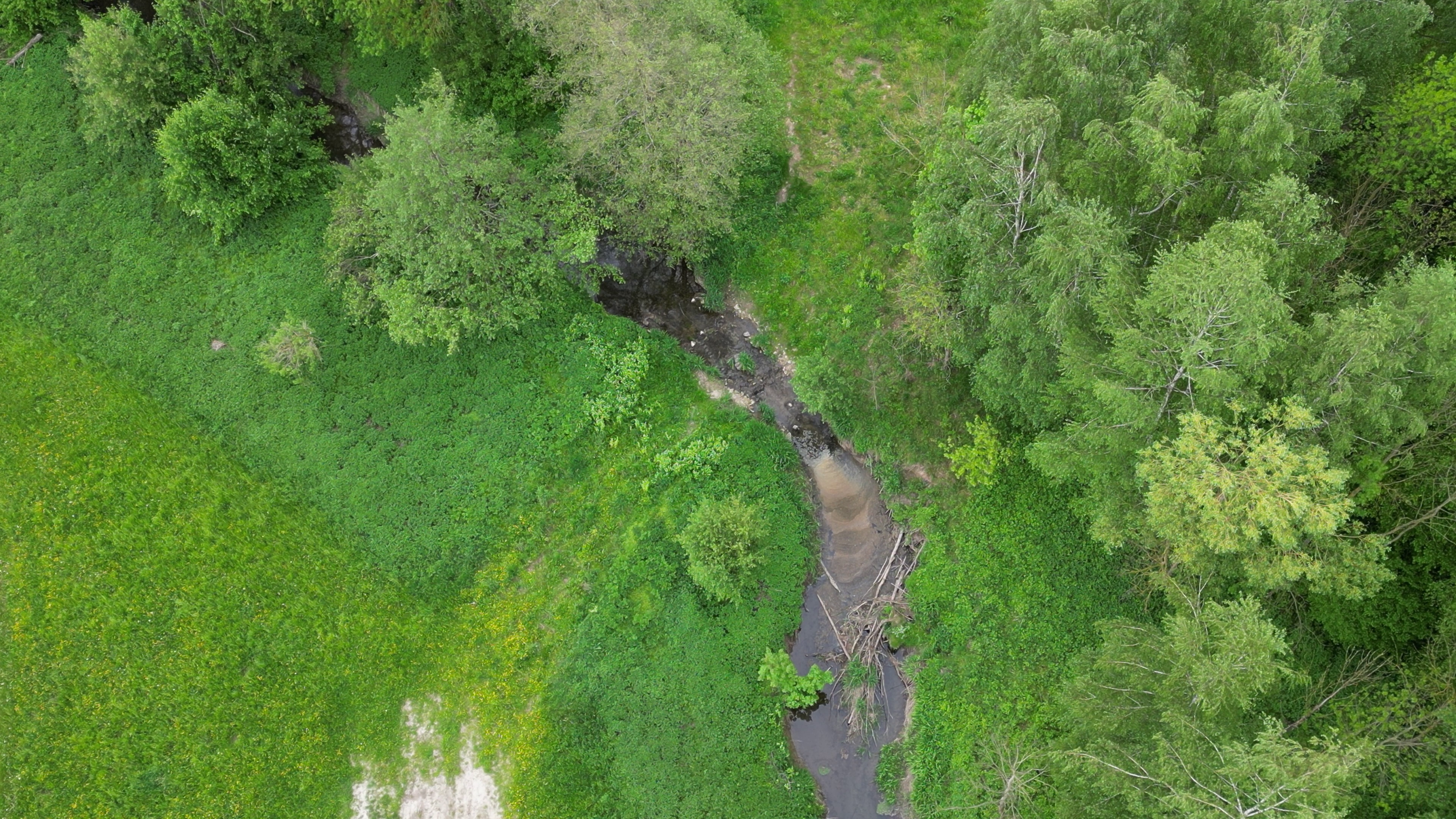 Grosse Laber - Danubio - Alfonso Lucifredi