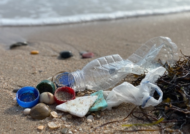 Impact on Biodiversity - Environmental attitudes-2