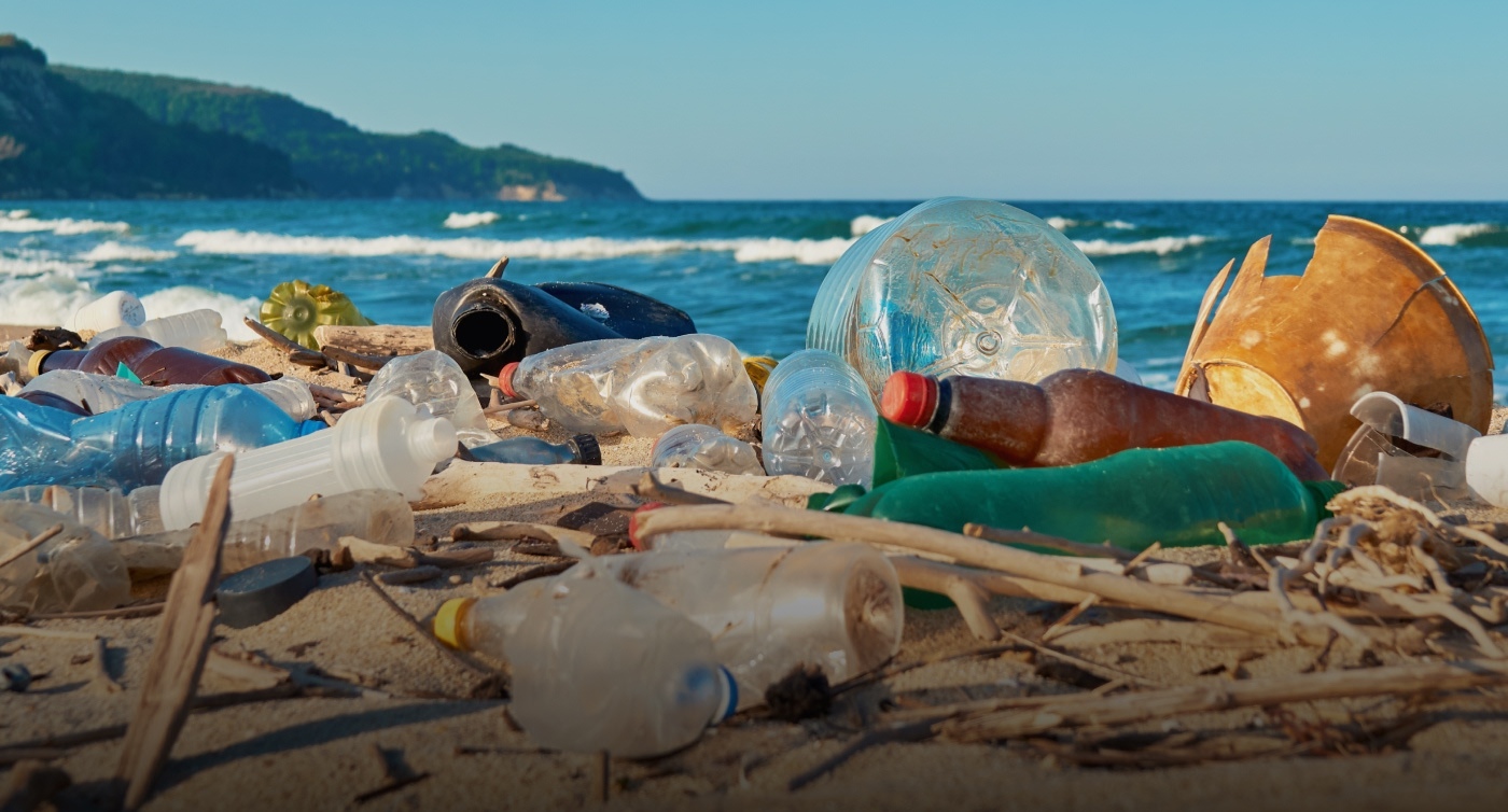 Impact on Biodiversity - Environmental attitudes-Hero