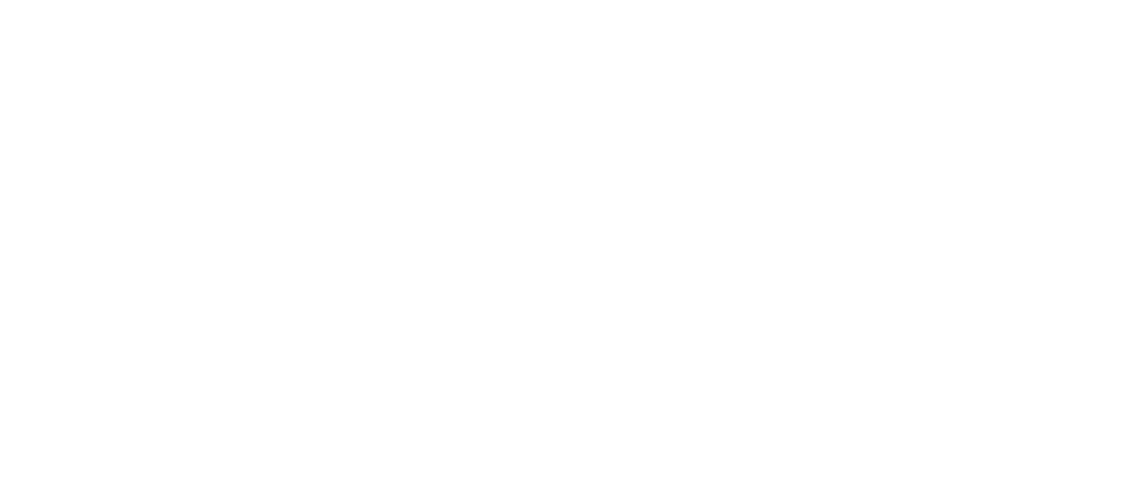 Nature Has No Borders - Bando - logo - white - 80