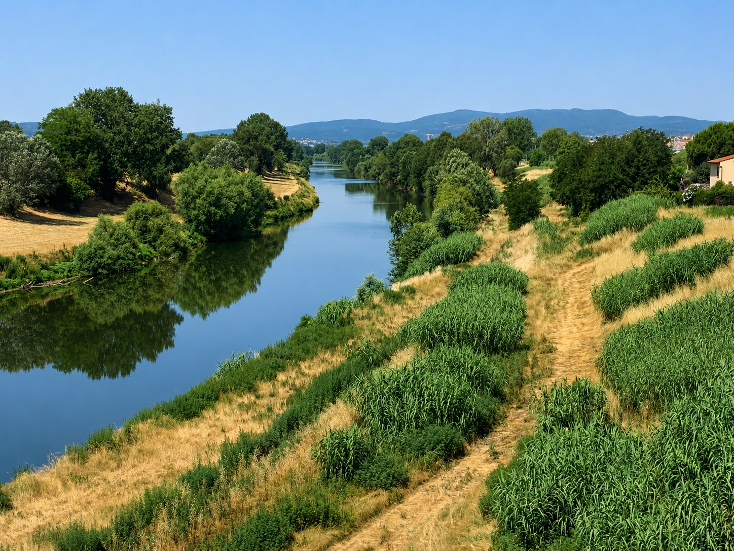 Prime analisi ecofisiologiche sulla vegetazione
