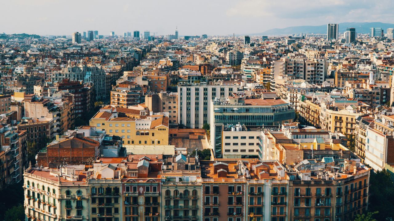 Qu’est-ce qui se cache derrière le ronronnement de votre chat  (1)