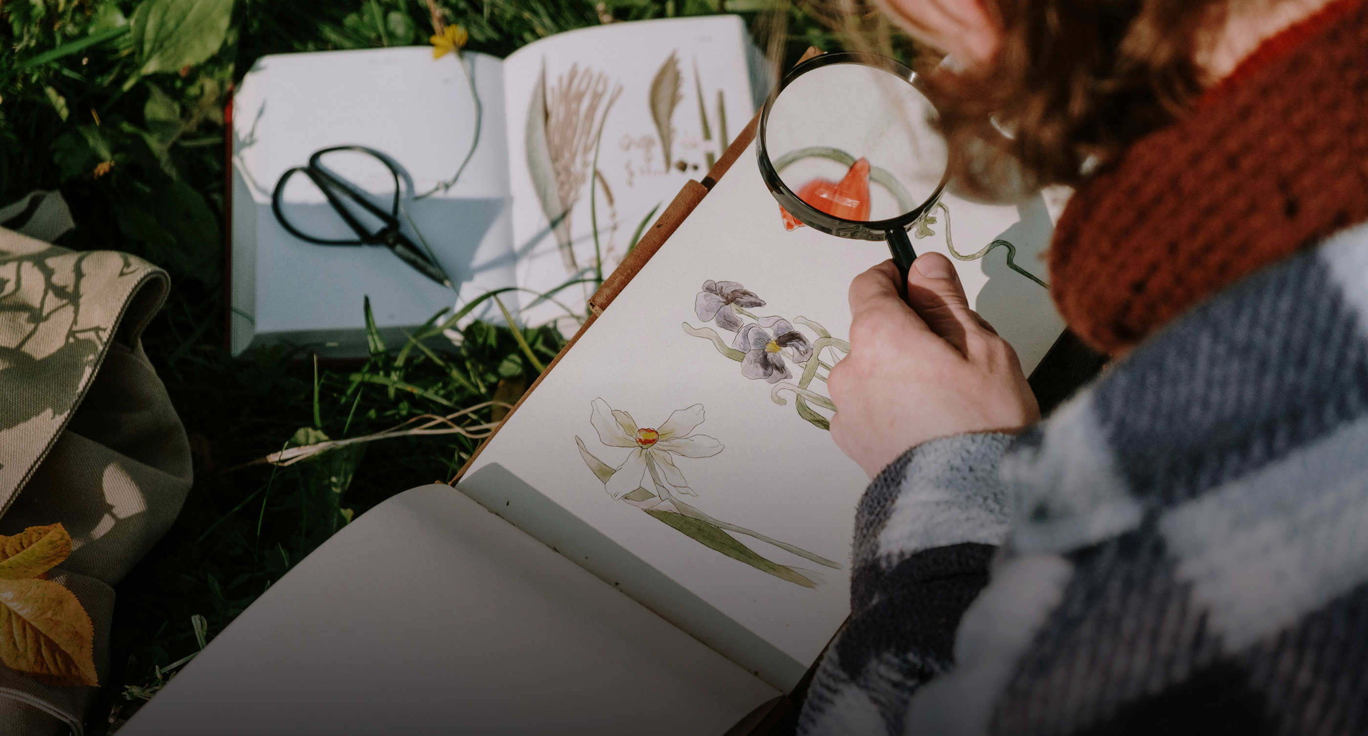 Scuola di Biodiversità
