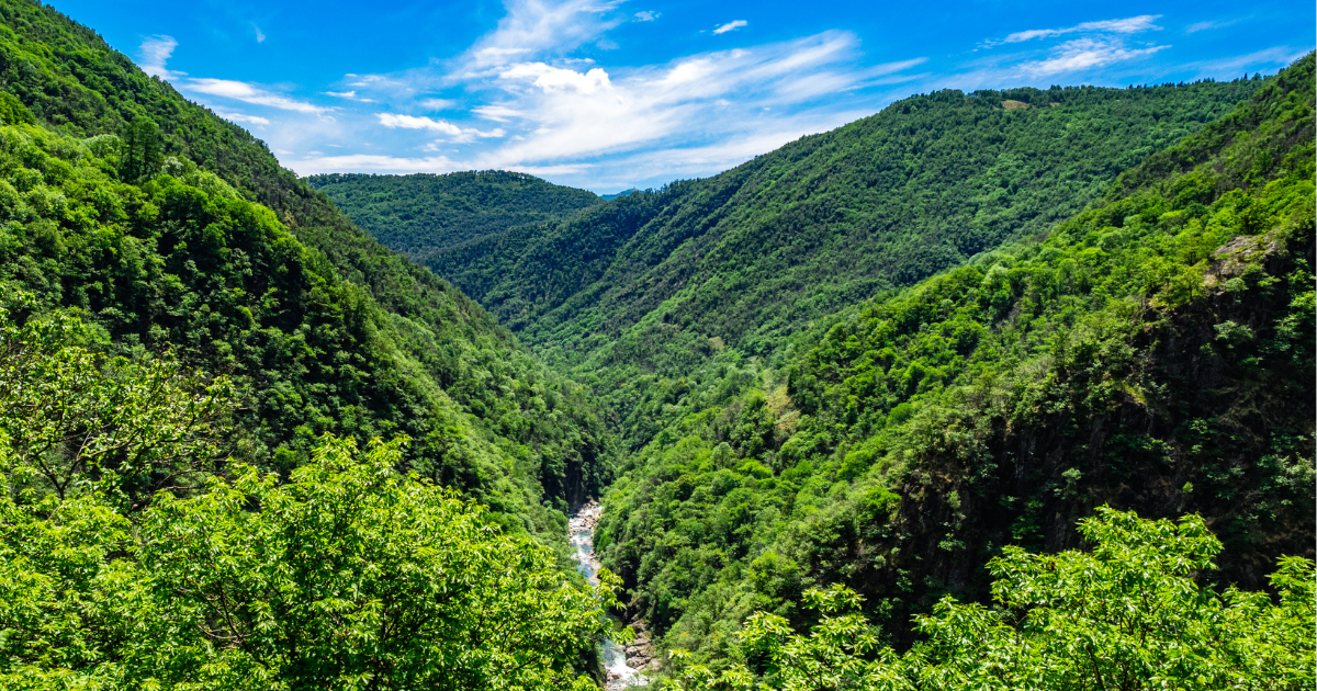 Biodiversity as a shared resource: rethinking land...