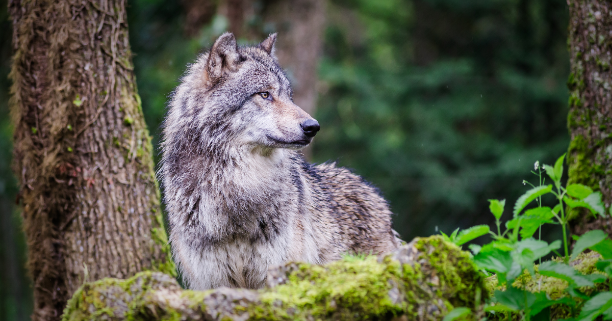 Untitled design (9)-3