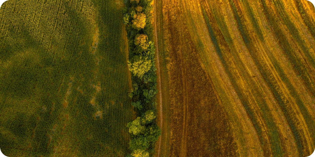 Villa Fortuna - RVF - Società Agricola Sperimentale-1