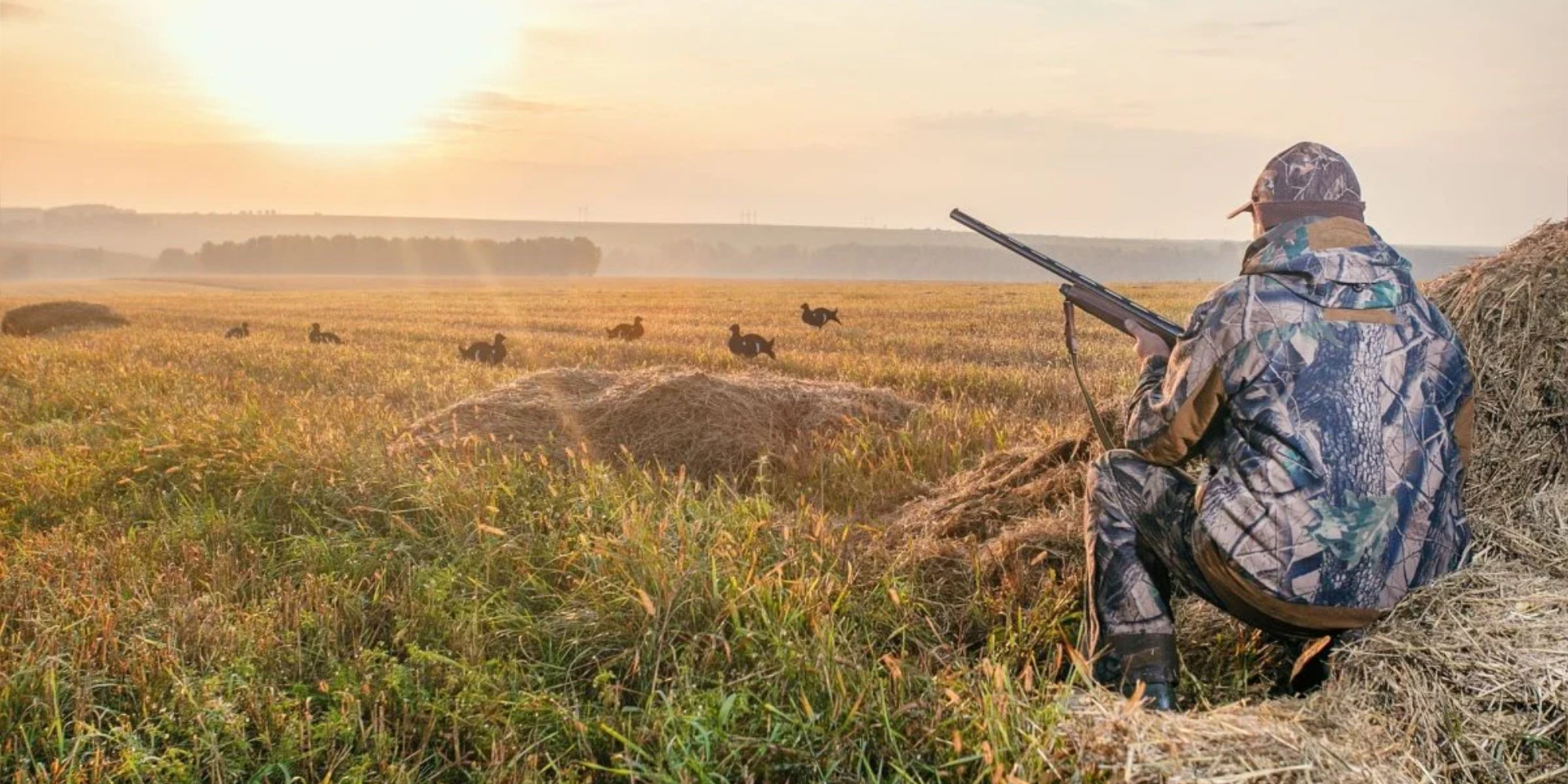 DDL Caccia. In 44 abbiamo chiesto un incontro ai Ministri Lollobrigida e Pichetto Fratin