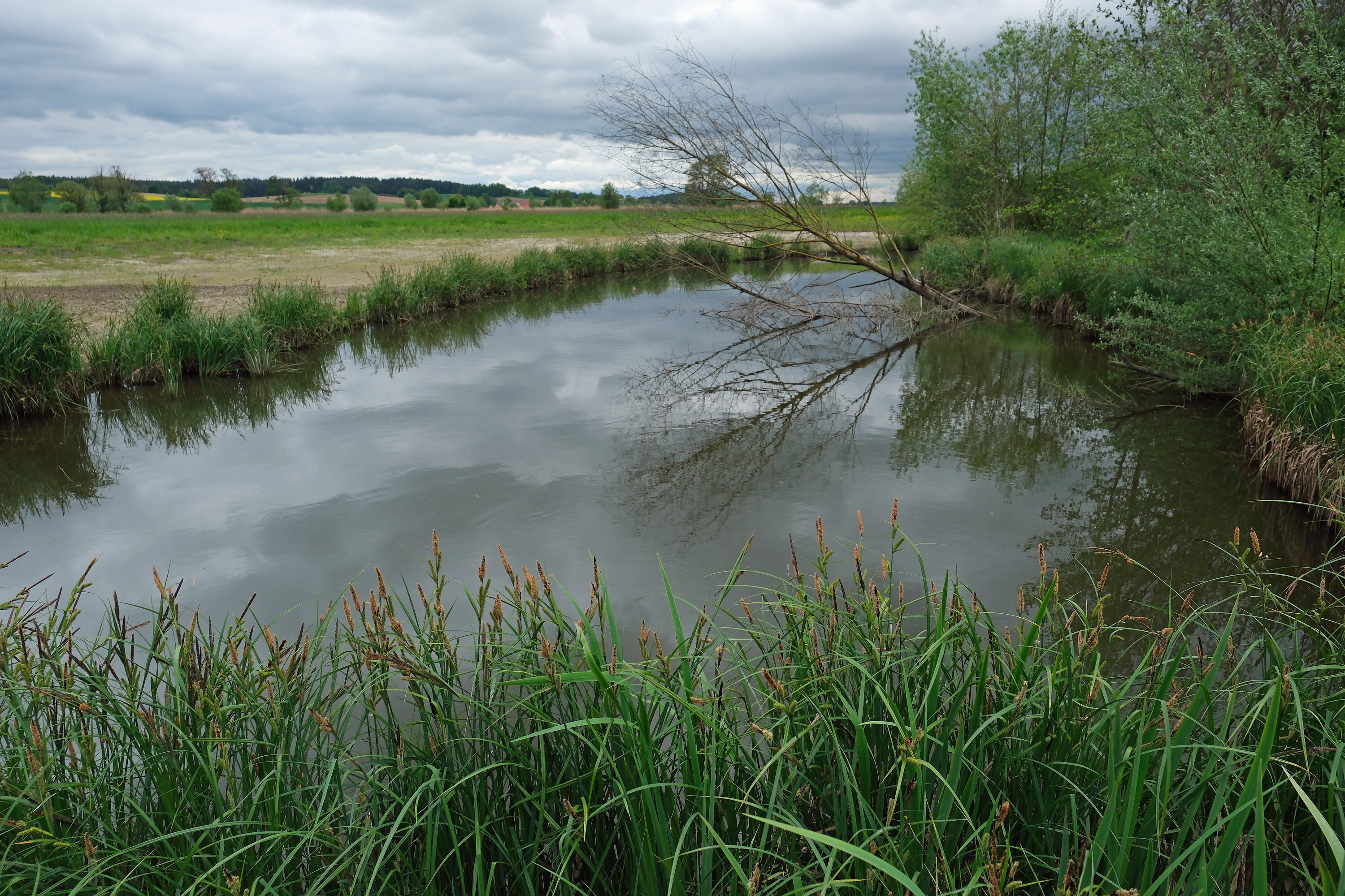 Ecological corridor in Germany on a tributary of the Danube
