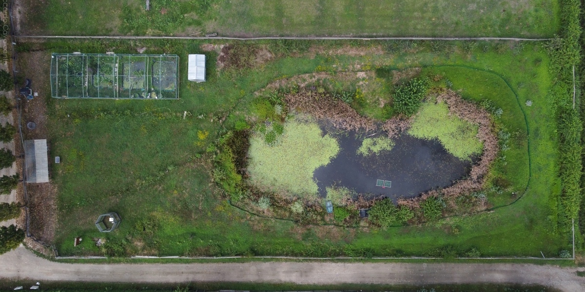 eu-bio-diversity-corridor--emys-4