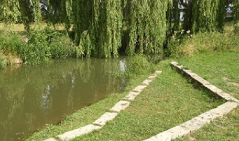 eu-bio-diversity-corridor-2