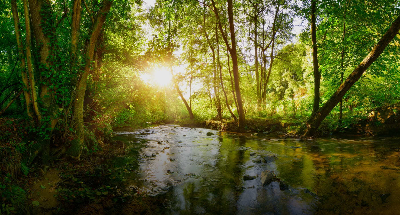 eu-bio-diversity-corridors