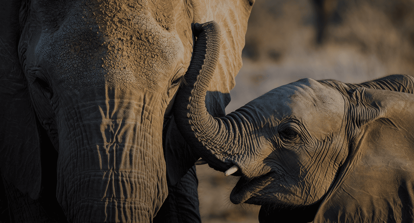 fc-restoring-bio-diversity-hero