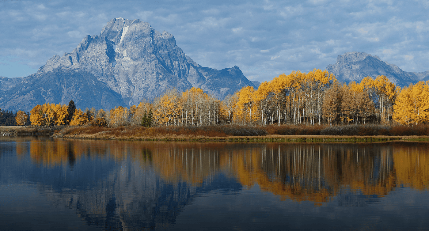 fc-y2y-project-image