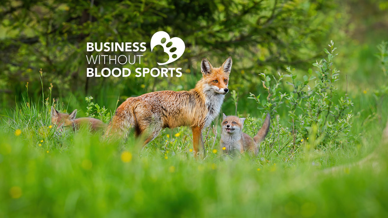 Almo Nature joins the Business Without Blood Sport...