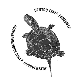 proeject-emys-partner