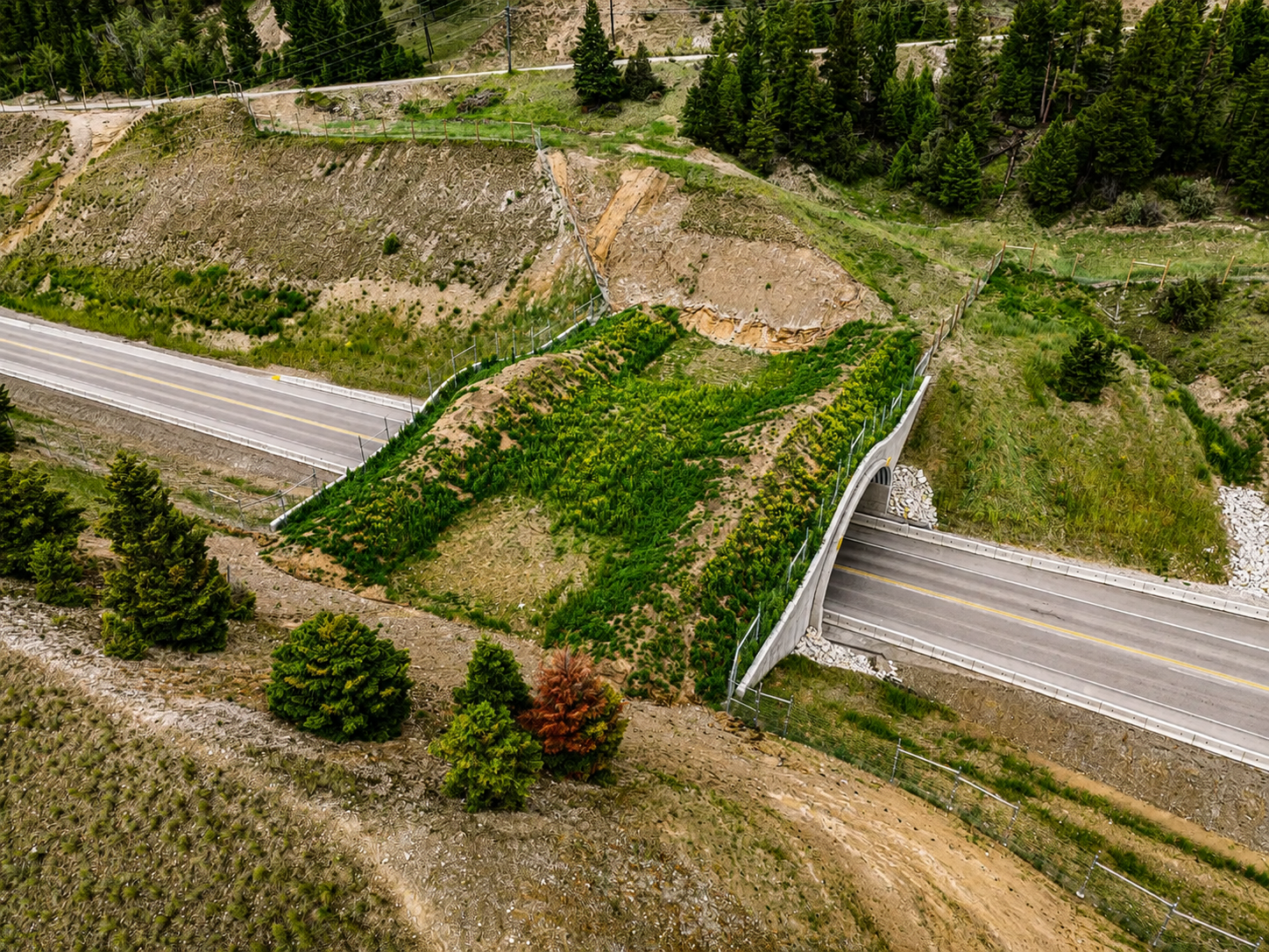 radium overpass
