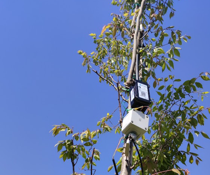 sensori barcellona