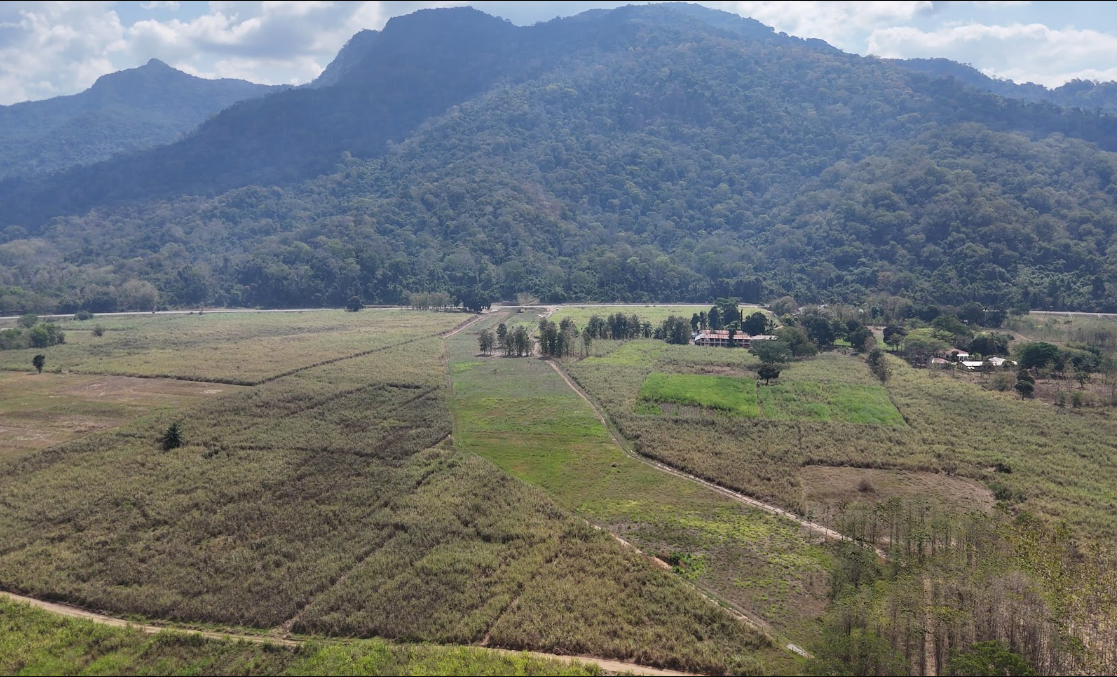 vista dallalto